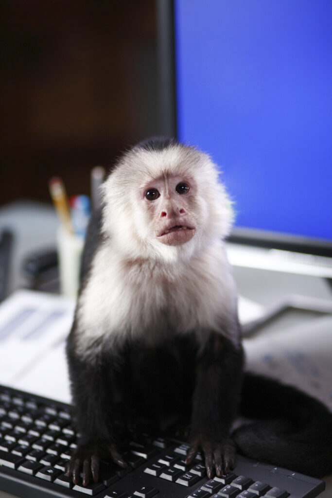 Would You Let a Monkey Take Charge of Assessing the Needs and Priorities of Your Members? When to DIY and When to Get Help With Your Membership Survey